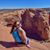 Ellie Rubinstein's profile image