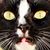 Miriam Phelp's profile image