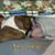 Brian Mealy's profile image