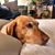 Tammy Evans's profile image