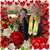 Julie McCormick's profile image