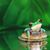 Ron Pressgrove's profile image