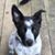 Angela K. Bettis's profile image