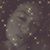 Shannon Swenson's profile image