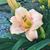 Lori Stephens Knight's profile image
