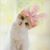 Lynnda Arbogast's profile image