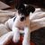 Pam Tanner's profile image