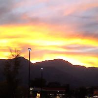 Linda Montoya's profile image