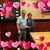Mary Jo Scott-Lyman's profile image