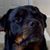 Sherry Miller's profile image