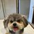 Donna Davis's profile image