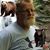 MichaelDavid Casinova's profile image