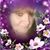 Missy White's profile image