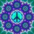 Laurie Carzo Bernhard's profile image