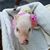 Sherry Crawford's profile image