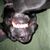 Roncy Roehm's profile image