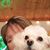 Debbie Thompson's profile image