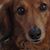 Linda J. Lider's profile image