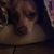 Jim Raney's profile image