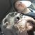 Terry Rowe's profile image