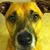 Melissa Pate's profile image