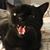 David Horsh's profile image