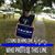 DonnaMarie Corvino's profile image