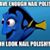 Maggie Fornaciari's profile image