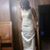 Taszia Riggans's profile image
