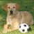 Frellie Hipos's profile image