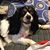 Elisabetta Righi's profile image
