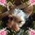 Pam Bailiff Lee's profile image