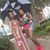 Toni Hines's profile image
