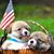 Judy Hart's profile image