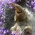 Maria Mariotti's profile image