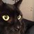 Robert English's profile image