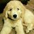 Barb Calpin Casanta's profile image