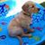 Marla Young McMahan's profile image