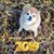 Deborah Mullins Martin's profile image