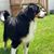 Judy Morrison Engram's profile image
