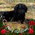 Shawna Weaver Aries's profile image