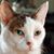 Renata Malament's profile image