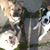 Donna Brinkmann's profile image