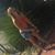 Vanessa LaFaso Stolarski's profile image