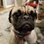 Wayne Boothby's profile image