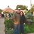 Linda McDonald's profile image