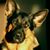 Don Rabe's profile image