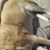 Kelly Loucks's profile image