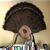 Scott Rushing's profile image