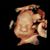 Debra Williams's profile image